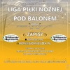 ZAPISY BALON - SZTUCZNA TRAWA