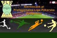 OJCOWIE I SYNOWIE MISTRZAMI TRZECIOLIGOWYCH ROZGRYWEK
