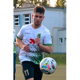 Karol Sibiński