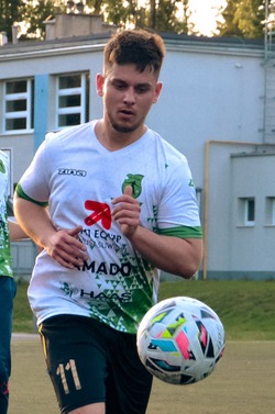 Sibiński Karol